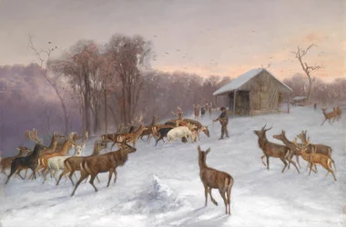 Fütterung von Dam- und Rotwild im Winter